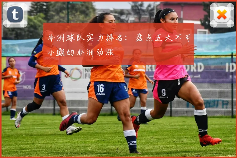非洲球队实力排名:盘点五大不可小觑的非洲劲旅