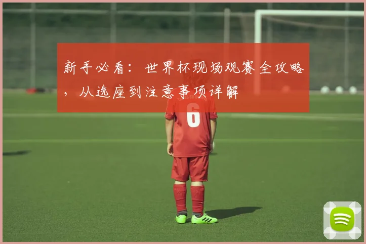 新手必看:世界杯现场观赛全攻略,从选座到注意事项详解
