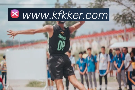 未来规划